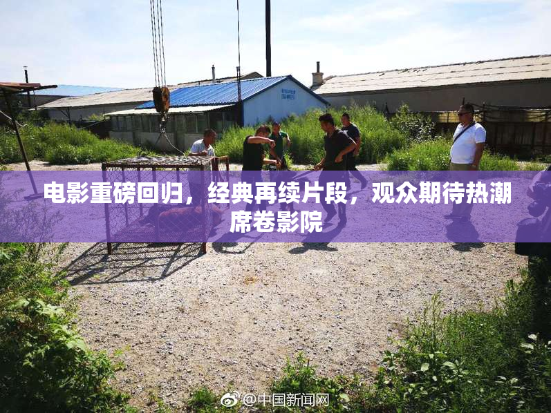 电影重磅回归，经典再续片段，观众期待热潮席卷影院