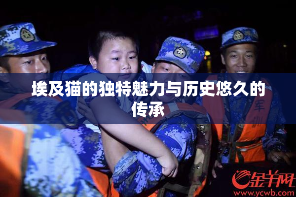 埃及猫的独特魅力与历史悠久的传承
