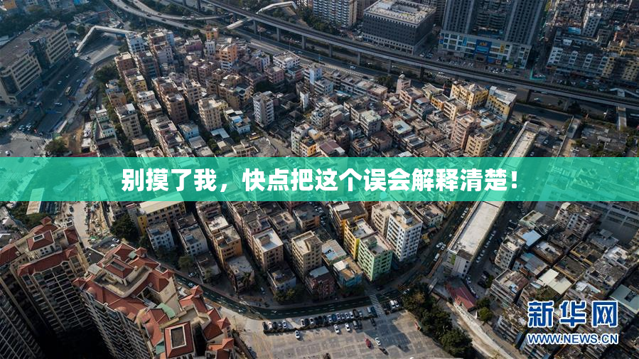 别摸了我，快点把这个误会解释清楚！