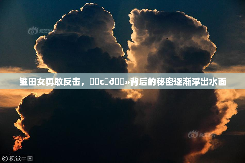 雏田女勇敢反击，❌‌c‌🐻背后的秘密逐渐浮出水面