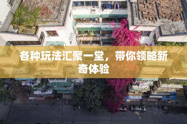 各种玩法汇聚一堂，带你领略新奇体验