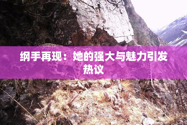 纲手再现：她的强大与魅力引发热议