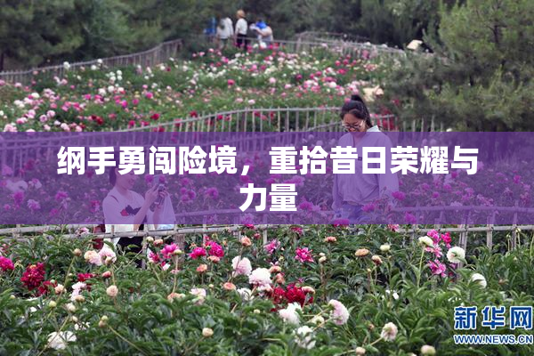 纲手勇闯险境，重拾昔日荣耀与力量