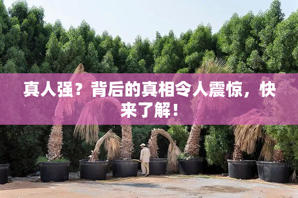 真人强？背后的真相令人震惊，快来了解！
