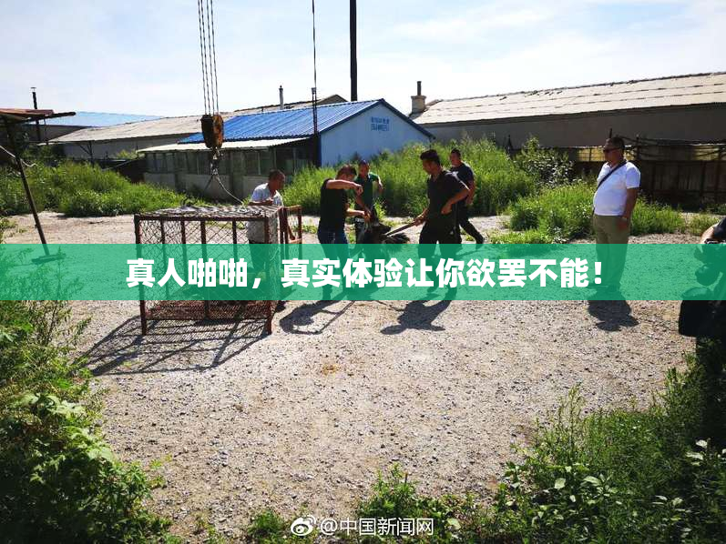 真人啪啪，真实体验让你欲罢不能！