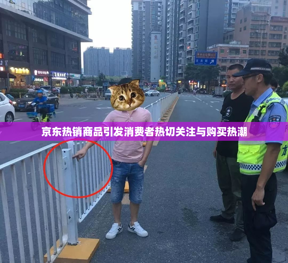 京东热销商品引发消费者热切关注与购买热潮