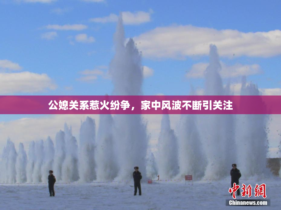 公媳关系惹火纷争，家中风波不断引关注