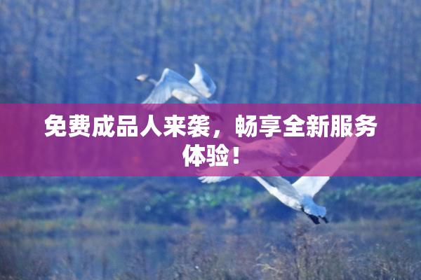 免费成品人来袭，畅享全新服务体验！