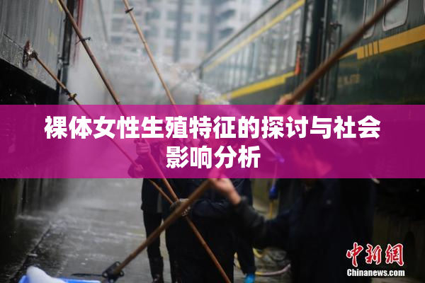 裸体女性生殖特征的探讨与社会影响分析