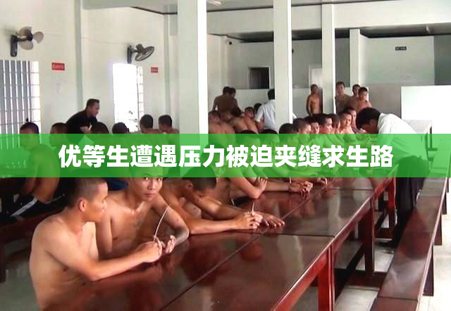 优等生遭遇压力被迫夹缝求生路