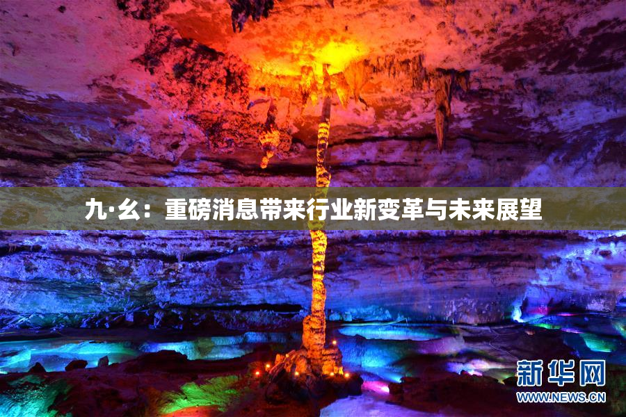 九·幺：重磅消息带来行业新变革与未来展望