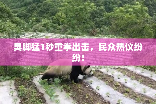 臭脚猛1秒重拳出击，民众热议纷纷！