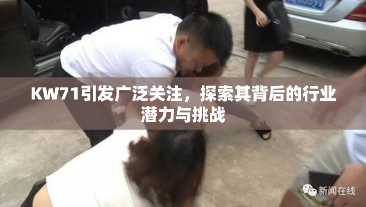 KW71引发广泛关注，探索其背后的行业潜力与挑战