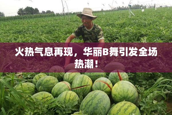 火热气息再现，华丽B舞引发全场热潮！