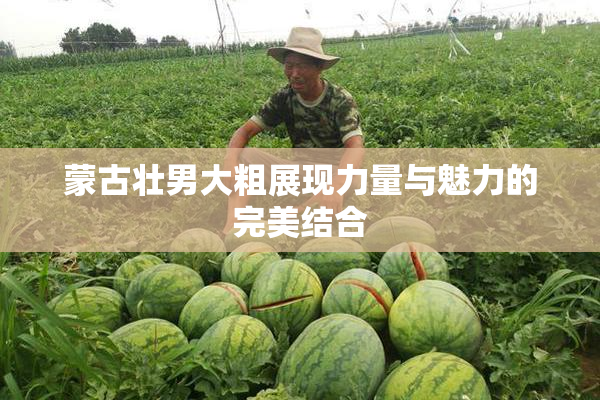 蒙古壮男大粗展现力量与魅力的完美结合