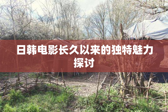 日韩电影长久以来的独特魅力探讨