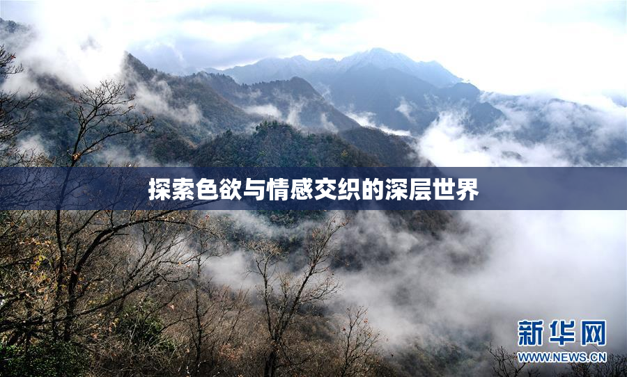探索色欲与情感交织的深层世界