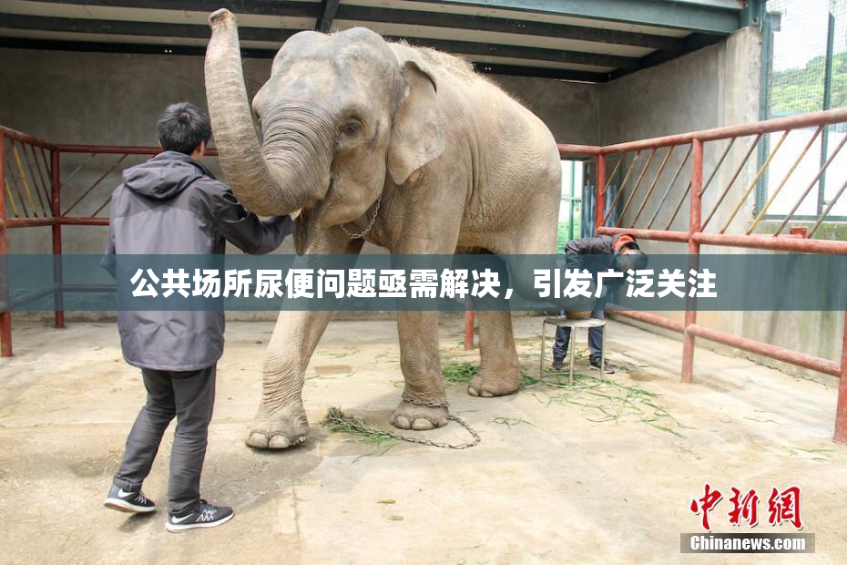 公共场所尿便问题亟需解决，引发广泛关注