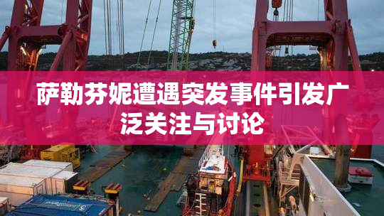 萨勒芬妮遭遇突发事件引发广泛关注与讨论