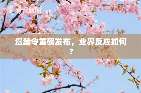 漫禁令重磅发布，业界反应如何？