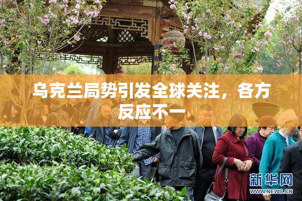 乌克兰局势引发全球关注，各方反应不一