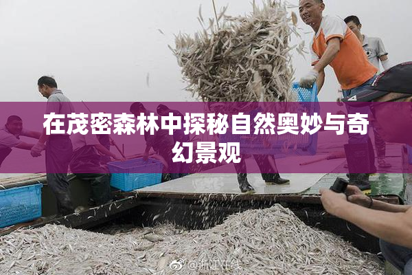 在茂密森林中探秘自然奥妙与奇幻景观