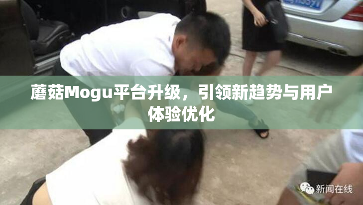 蘑菇Mogu平台升级，引领新趋势与用户体验优化