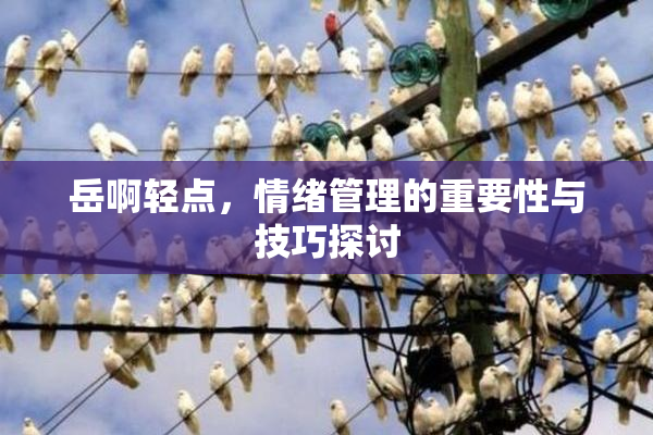 岳啊轻点，情绪管理的重要性与技巧探讨