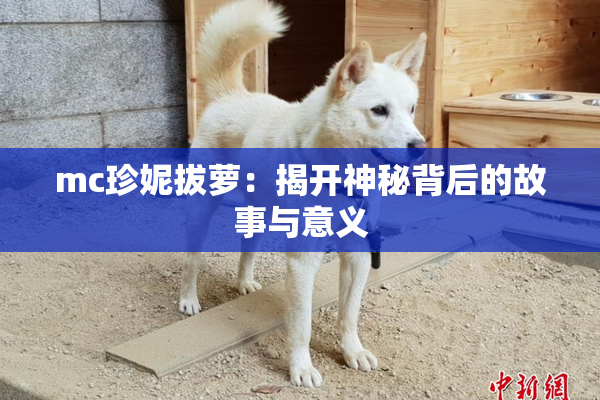 mc珍妮拔萝：揭开神秘背后的故事与意义