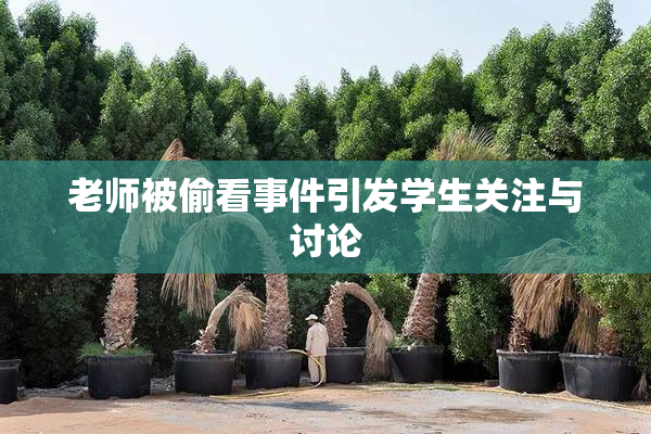 老师被偷看事件引发学生关注与讨论