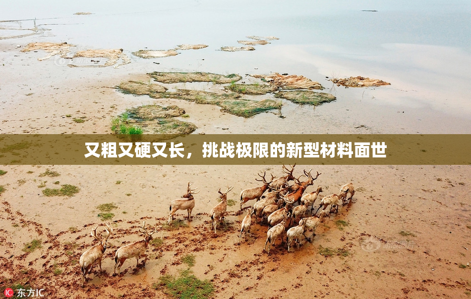 又粗又硬又长，挑战极限的新型材料面世