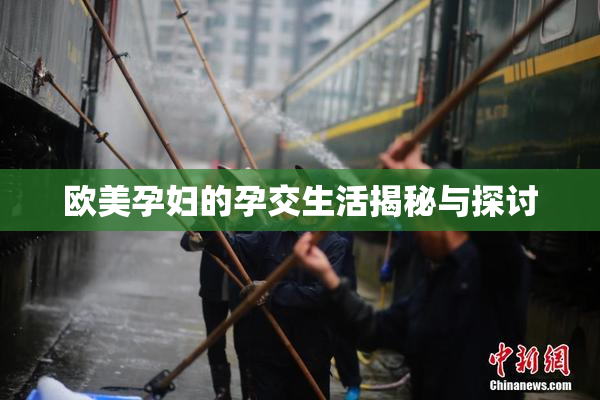 欧美孕妇的孕交生活揭秘与探讨