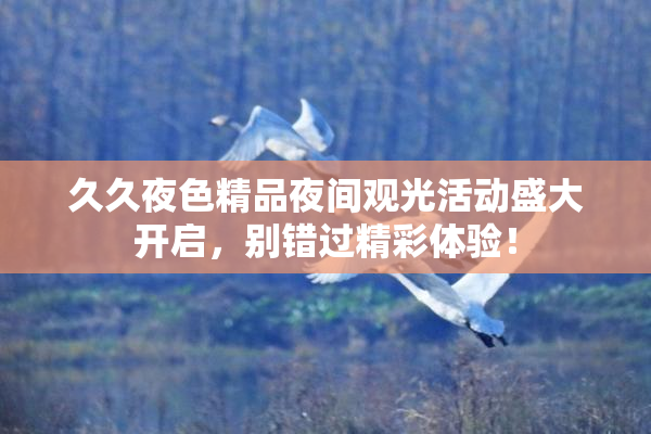 久久夜色精品夜间观光活动盛大开启，别错过精彩体验！
