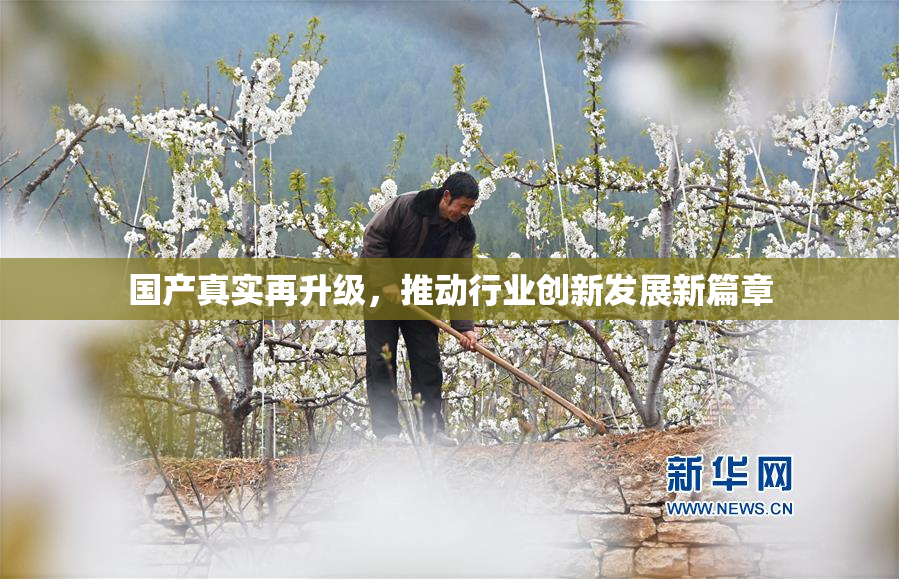 国产真实再升级，推动行业创新发展新篇章