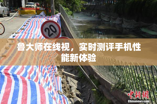 鲁大师在线视，实时测评手机性能新体验