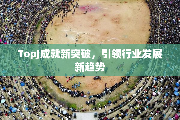 TopJ成就新突破，引领行业发展新趋势