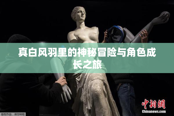 真白风羽里的神秘冒险与角色成长之旅