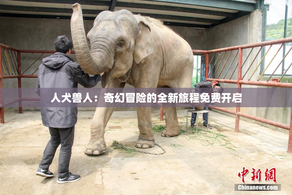 人犬兽人：奇幻冒险的全新旅程免费开启