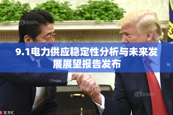 9.1电力供应稳定性分析与未来发展展望报告发布