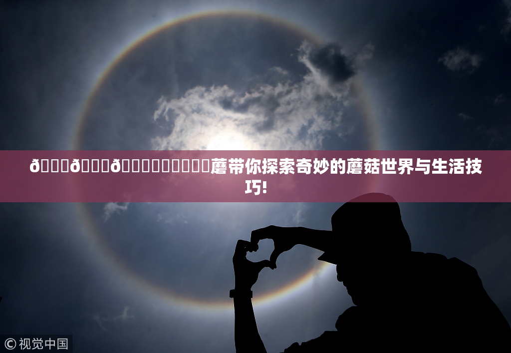🍆🍑🔞❌‌❌‌❌‌蘑带你探索奇妙的蘑菇世界与生活技巧!
