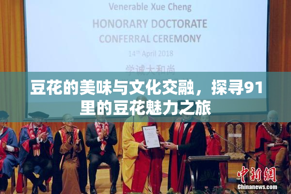 豆花的美味与文化交融，探寻91里的豆花魅力之旅