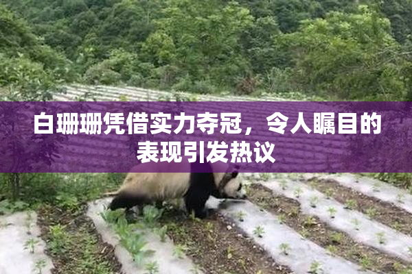 白珊珊凭借实力夺冠，令人瞩目的表现引发热议
