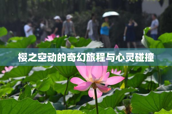 樱之空动的奇幻旅程与心灵碰撞