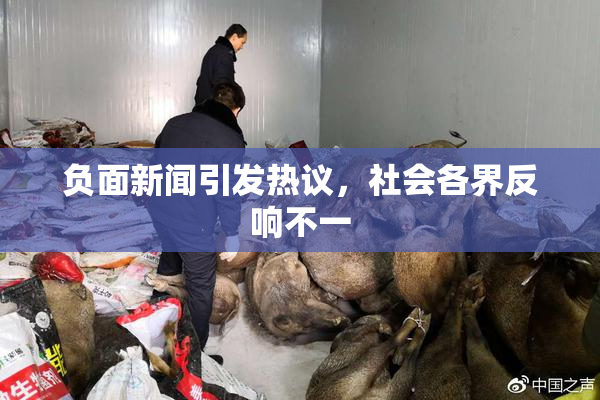 负面新闻引发热议，社会各界反响不一