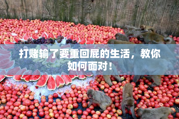 打赌输了要重回屁的生活，教你如何面对！