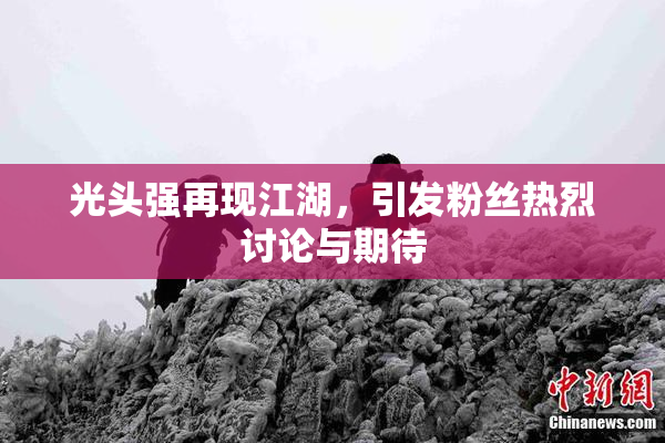 光头强再现江湖，引发粉丝热烈讨论与期待