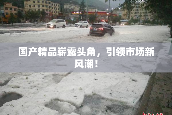 国产精品崭露头角，引领市场新风潮！