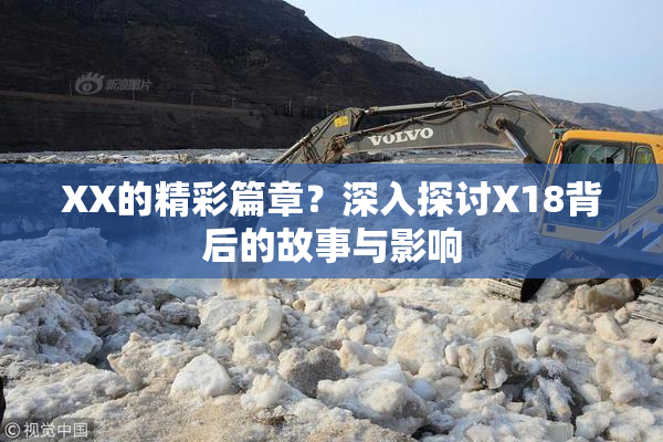 XX的精彩篇章？深入探讨X18背后的故事与影响