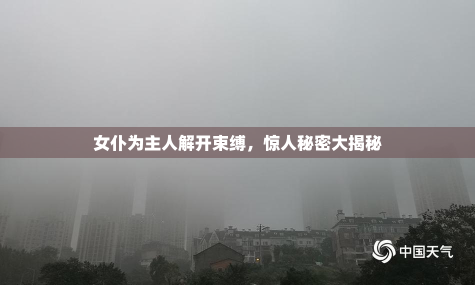 女仆为主人解开束缚，惊人秘密大揭秘