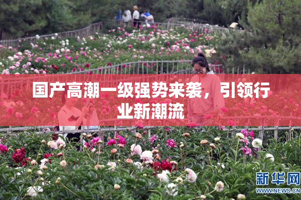 国产高潮一级强势来袭，引领行业新潮流
